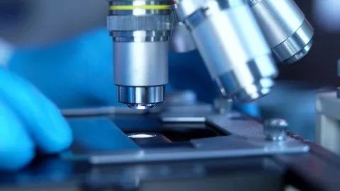 caoliu2017 - 气候科学家专访